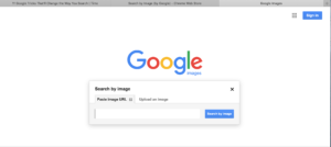 google search by image